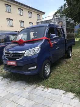 XE TẢI TRƯỜNG GIANG CABIN ĐÔI T3